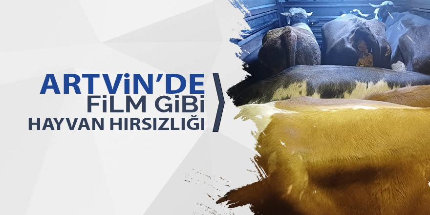 Artvin’de film gibi hayvan hırsızlığı