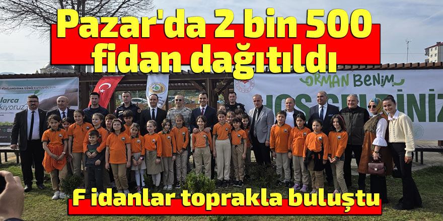 Pazar'da 2 bin 500 adet fidan dağıtıldı