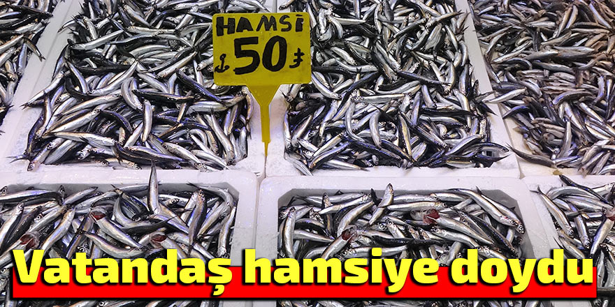 Vatandaş hamsiye doydu