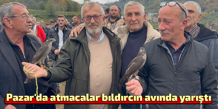 Pazar'da atmacalar bıldırcın avında yarıştı
