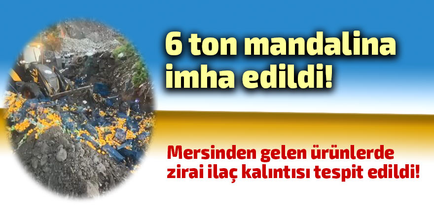 6 ton mandalina imha edildi!