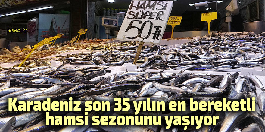Karadeniz son 35 yılın en bereketli hamsi sezonunu yaşıyor