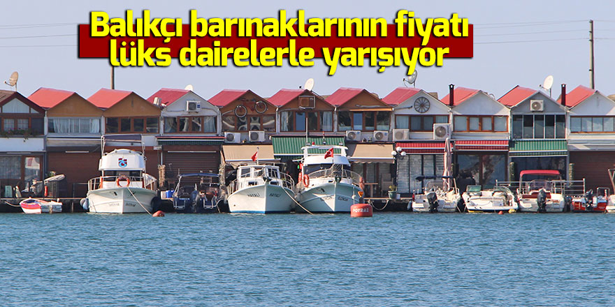 Balıkçı barınaklarının fiyatı lüks dairelerle yarışıyor