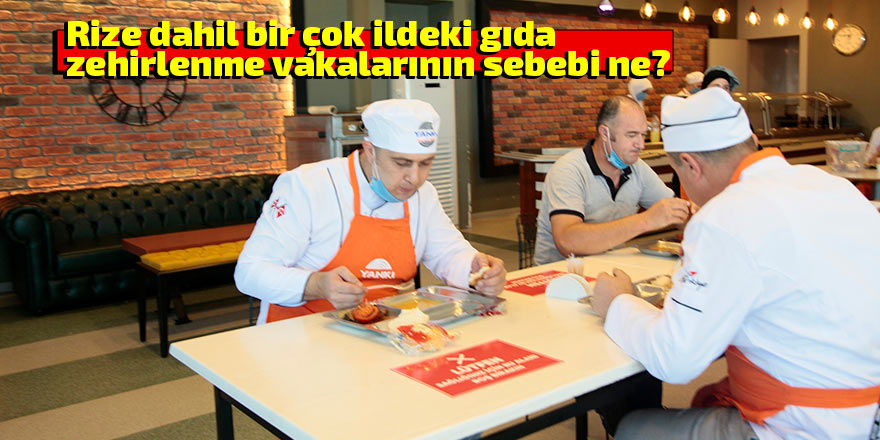 Rize dahil bir çok ildeki zehirlenme vakalarının sebebi ne?