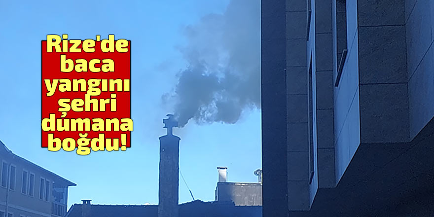 Rize'de baca yangını paniğe neden oldu