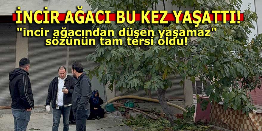 İNCİR AĞACI BU KEZ YAŞATTI!