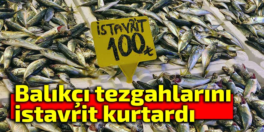 Balıkçı tezgahlarını istavrit kurtardı