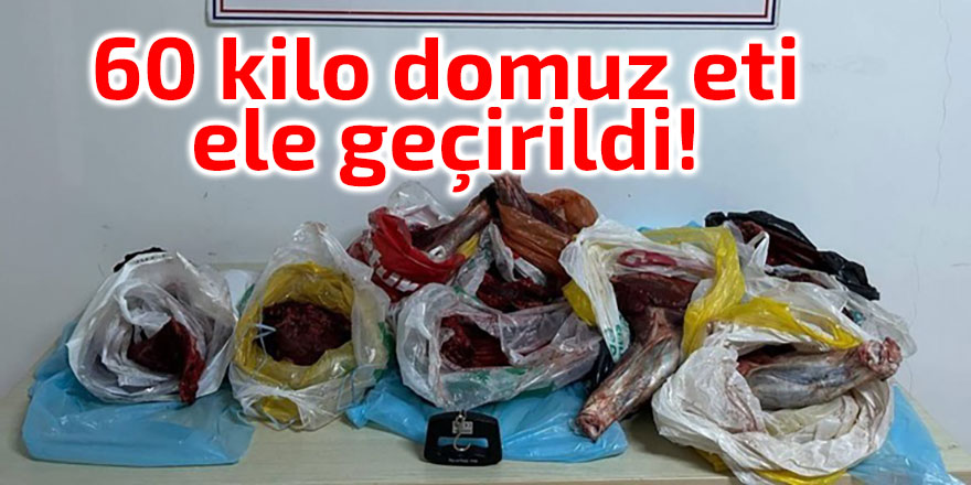 60 kilo domuz eti ele geçirildi!