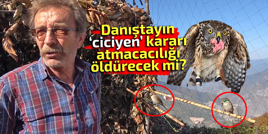 Danıştayın kararı atmacacılığı öldürecek mi?