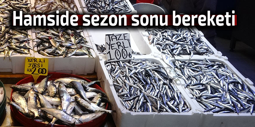 Hamside sezon sonu bereketi