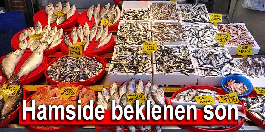 Hamside beklenen son