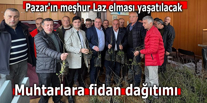 Pazar'ın meşhur Laz elması yaşatılacak