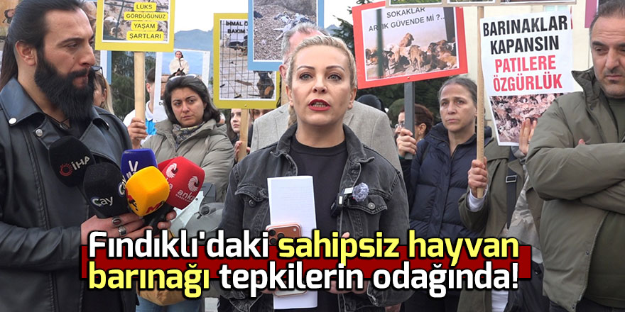 Fındıklı'daki hayvan barınağı tepkilerin odağında!