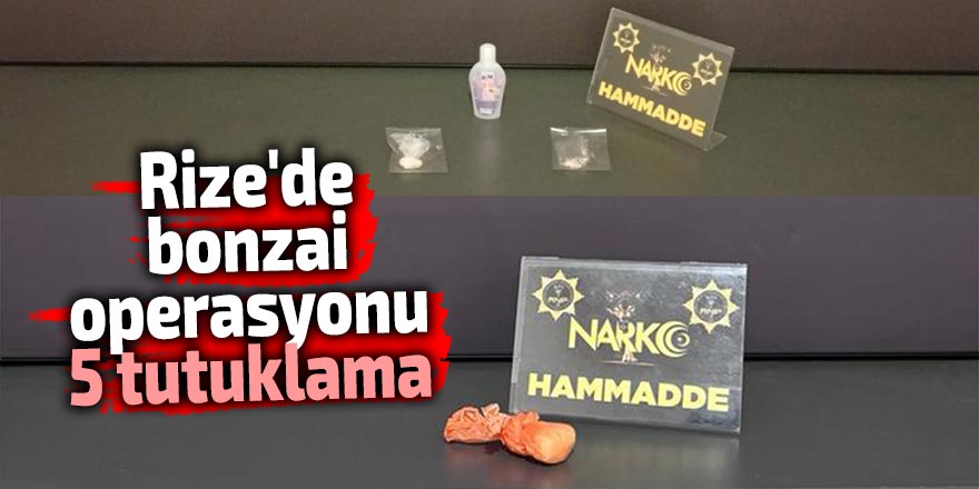 Rize'de bonzai operasyonu: 5 tutuklama