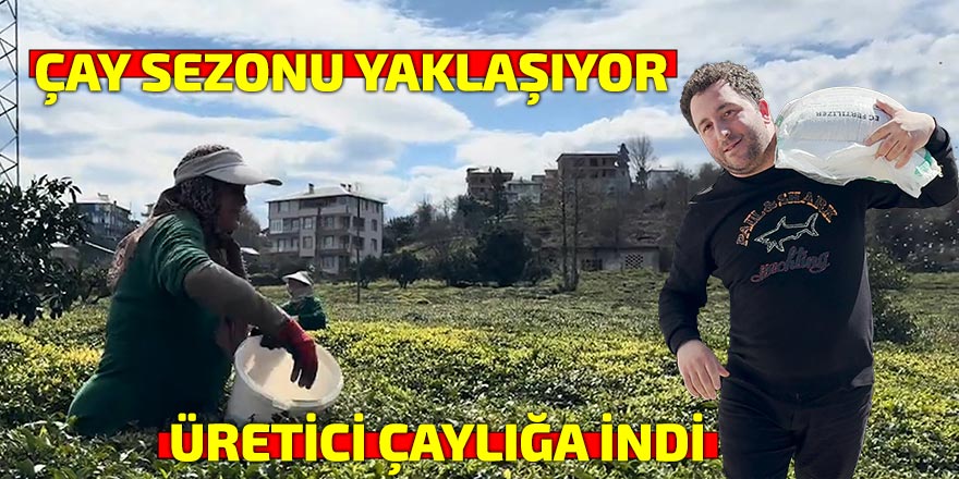 Çay üreticileri yeni sezona hazırlanıyor
