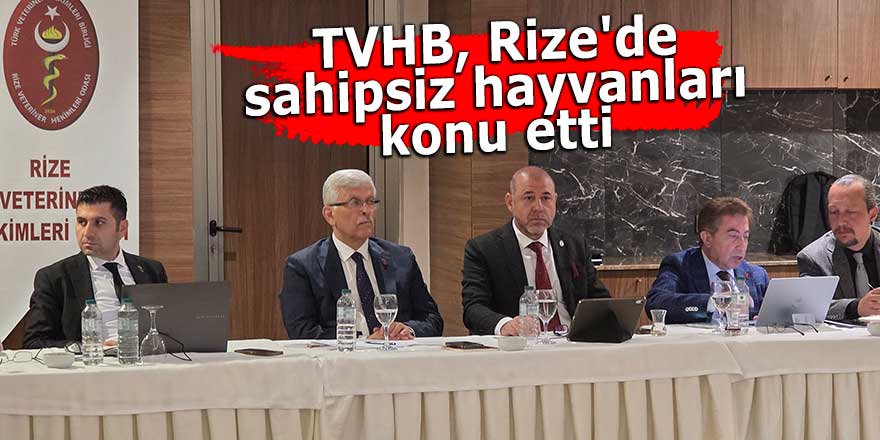 TVHB, Rize'de sahipsiz hayvanları konu etti