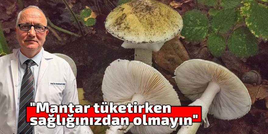"Mantar tüketirken sağlığınızdan olmayın"