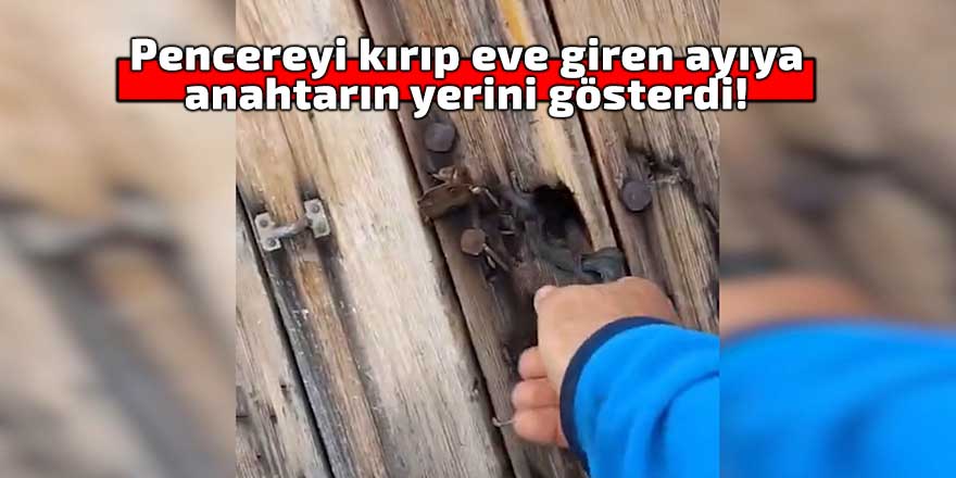 Pencereyi kırıp eve giren ayıya anahtarın yerini gösterdi!