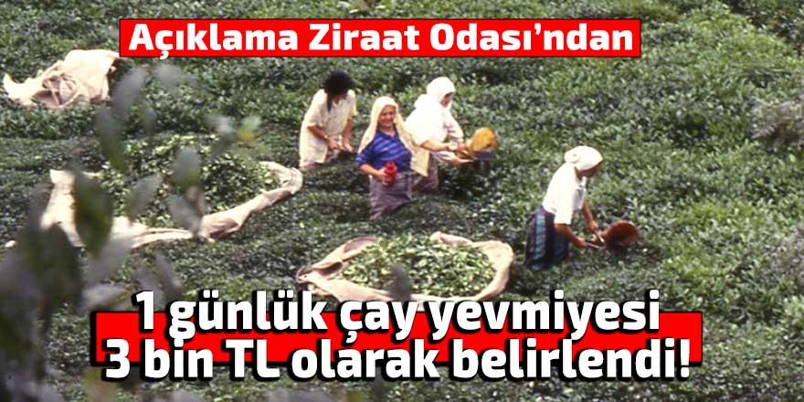 1 günlük çay yevmiyesi 3 bin TL olarak belirlendi!