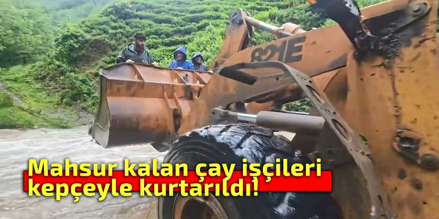 Çay işçileri sağanak yağışta mahsur kaldı!