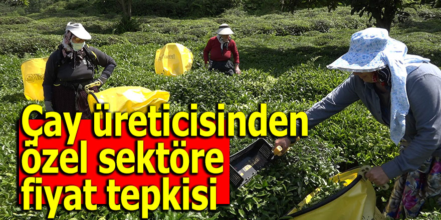 Çay üreticisinden özel sektöre fiyat tepkisi
