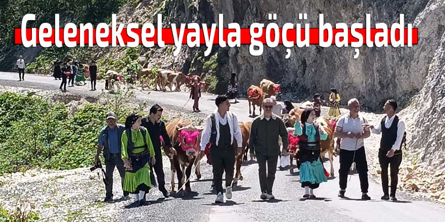 Geleneksel yayla göçü başladı