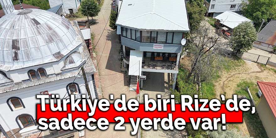 Türkiye'de biri Rize, sadece 2 yerde var!