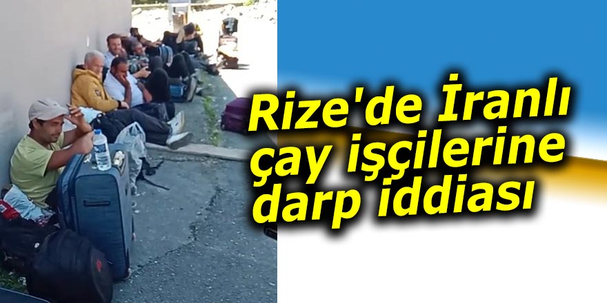 Rize'de İranlı çay işçilerine darp iddiası