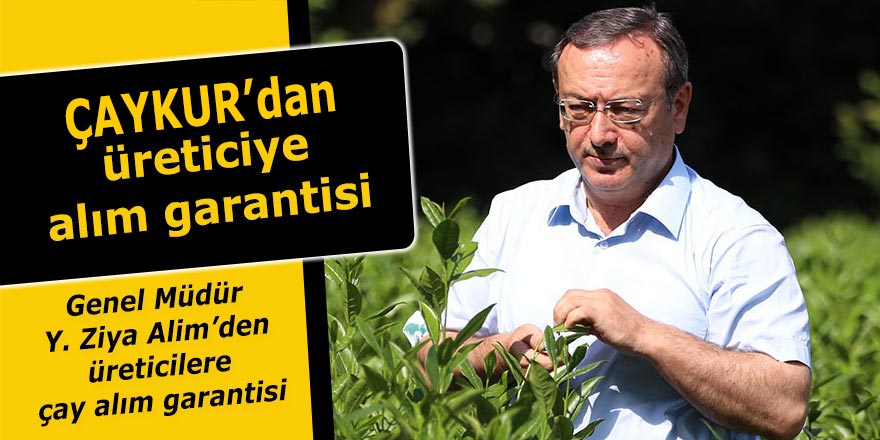 ÇAYKUR'dan üreticiye alım garantisi