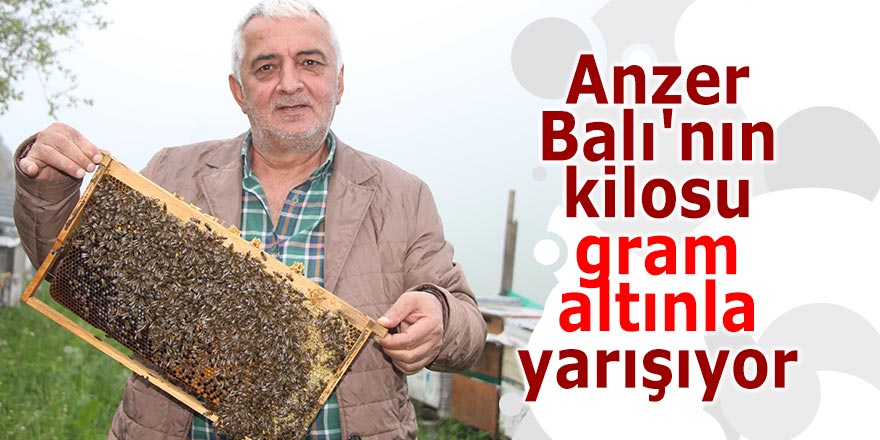 Anzer Balı'nın kilosu, gram altınla yarışıyor