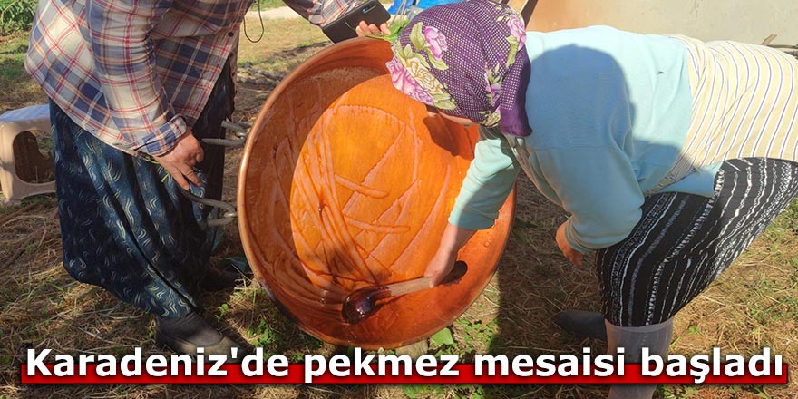 Karadeniz'de pekmez mesaisi başladı