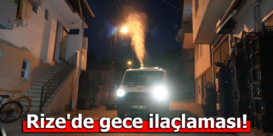 Rize'de gece ilaçlaması!
