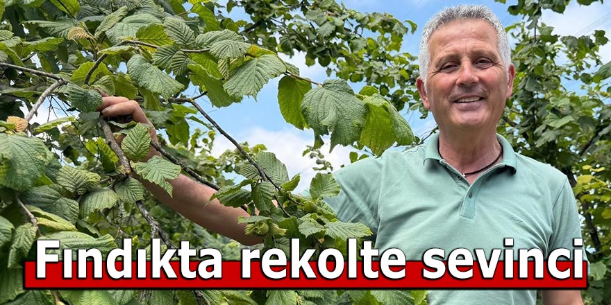 Fındıkta rekolte sevinci
