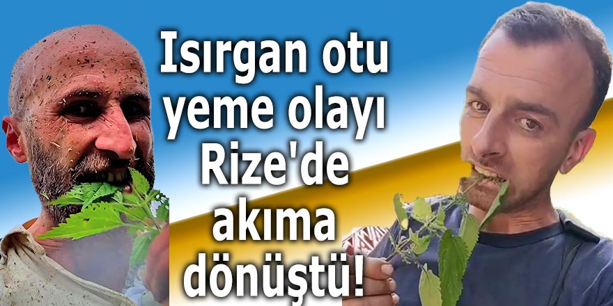 Isırgan otu yeme olayı Rize'de akıma dönüştü!