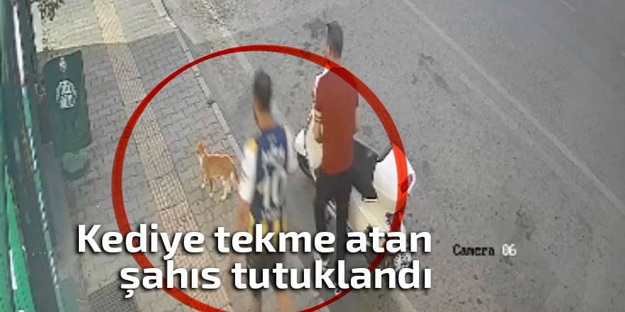 Kediye tekme atan şahıs tutuklandı
