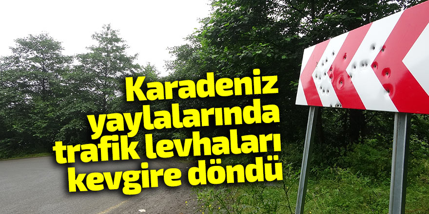 Karadeniz yaylalarında trafik levhaları kevgire döndü