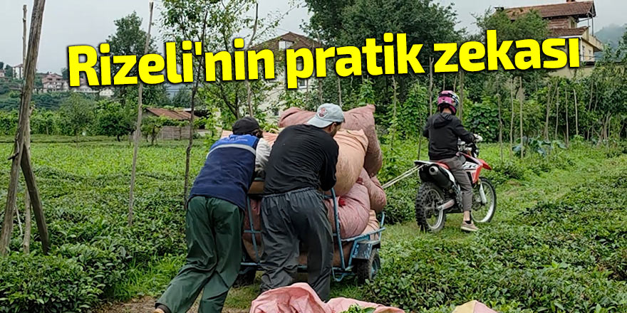 Rizeli'nin pratik zekası