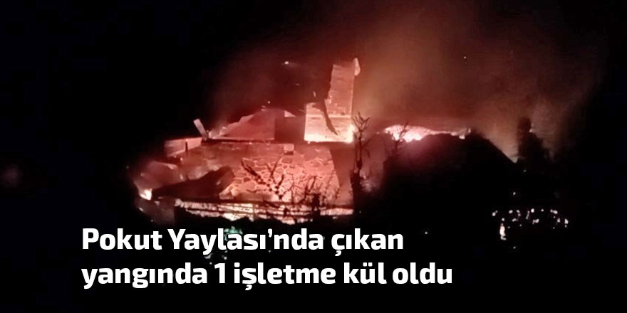 Pokut Yaylası’nda çıkan yangında 1 işletme kül oldu