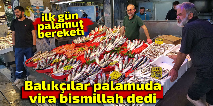 Balıkçılar "Vira Bismillah" dedi, tezgahlar palamutla doldu