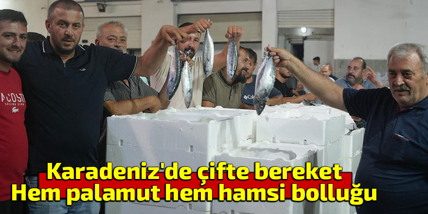 Karadeniz'de çifte bereket: Hem palamut hem hamsi bolluğu