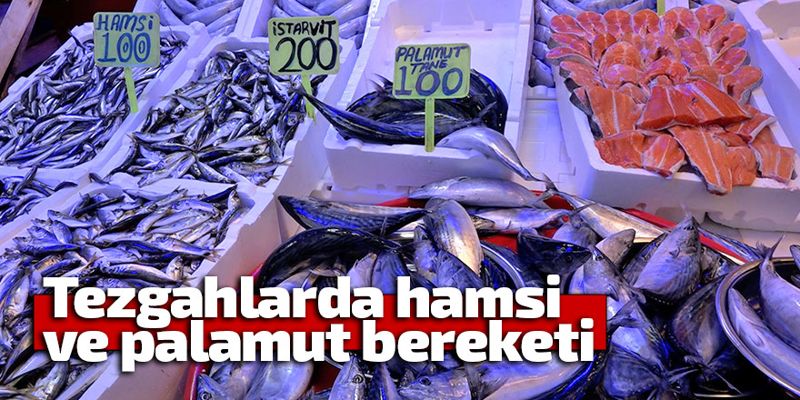 Palamut hem vatandaşın hem esnafın yüzünü güldürüyor