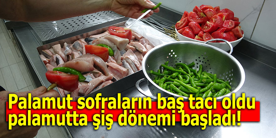 Palamut sofraların baş tacı oldu: palamutta şiş dönemi