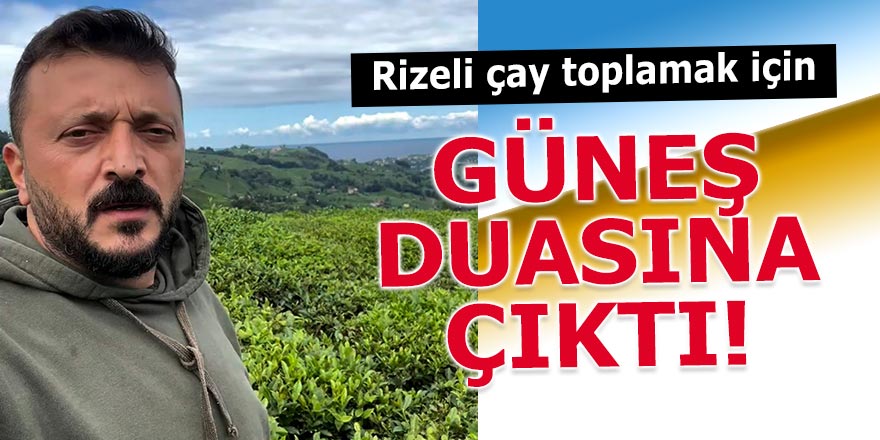Çay toplamakta zorlanan Rizelinin güneş duası!
