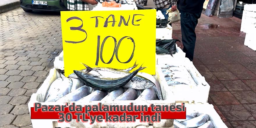 Pazar'da kiloluk palamudun tanesi 30 TL'ye kadar indi