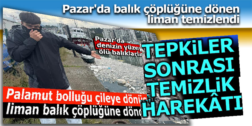 Pazar'da balık çöplüğüne dönen liman temizlendi