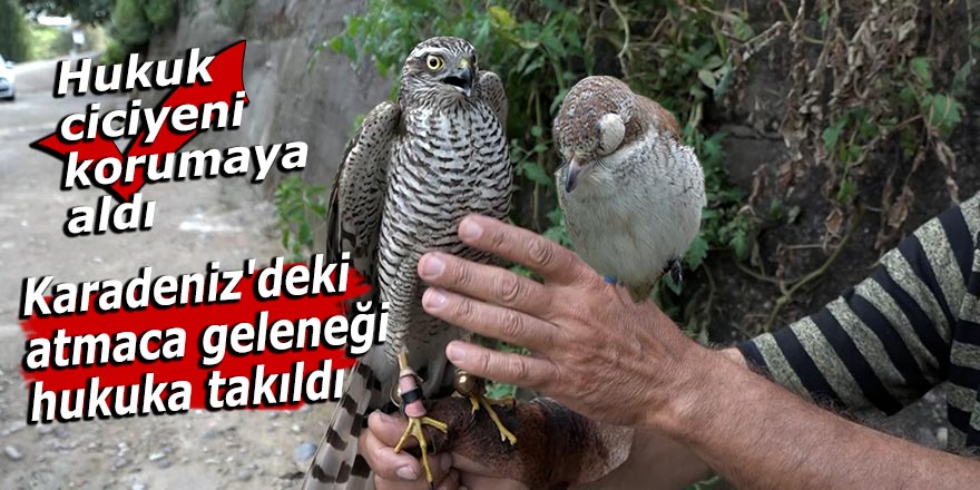 Karadeniz'deki atmaca geleneği hukuka takıldı