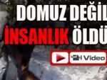 Bu av değil vahşet! VİDEO