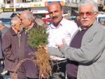 Bedava fidana yoğun ilgi