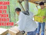 Fındıklı'da organik bal bereketi