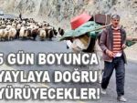 5 gün yol yürüyerek yaylaya çıkıyor!